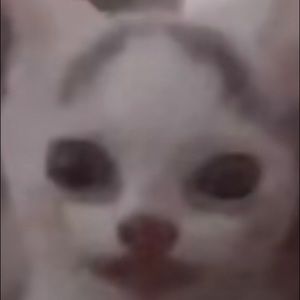 Meet your Posher, Rusty